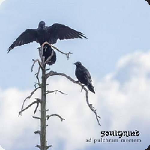 Soulgrind – Ad Pulchram Mortem