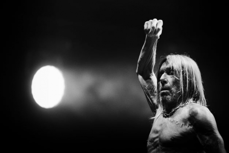 Iggy Pop powraca z nowym albumem! &quot;Every Loser&quot; !