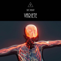 Variete „Sieć Indry&quot;