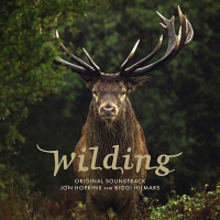 JON HOPKINS AND BIGGI HILMARS - WILDING