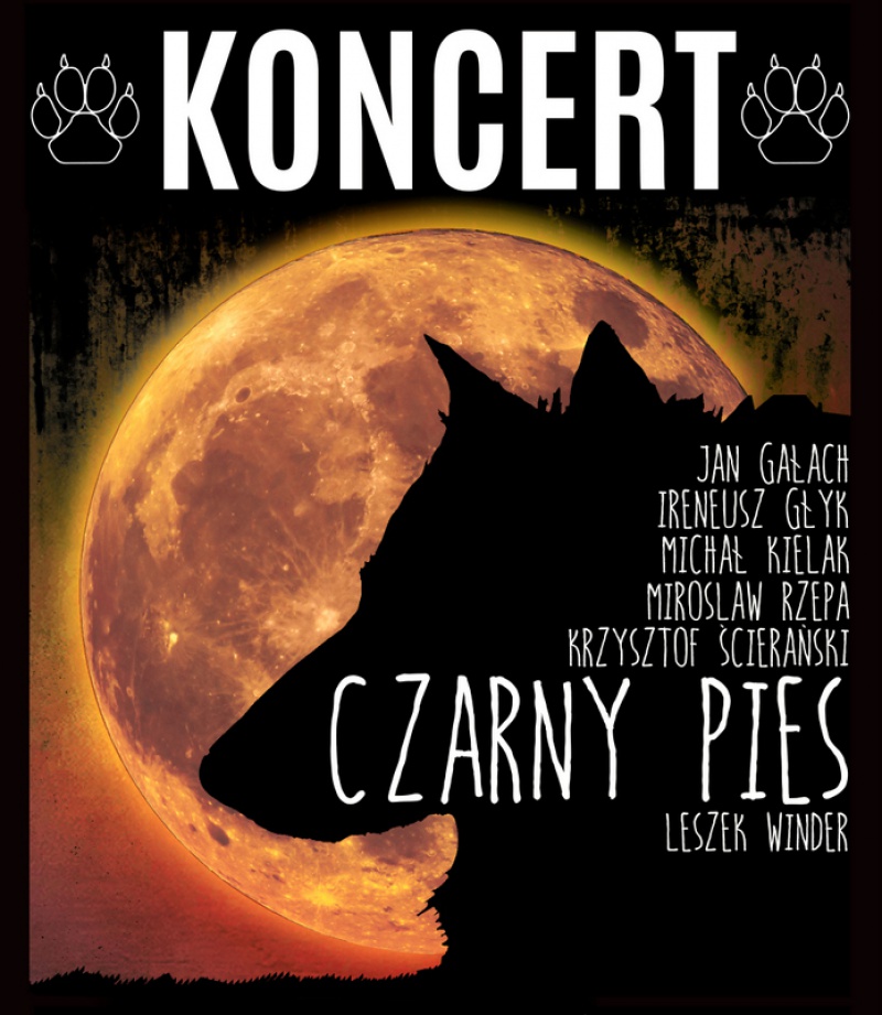 Grudniowe koncerty Czarnego Psa