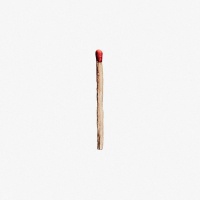 RAMMSTEIN - RAMMSTEIN