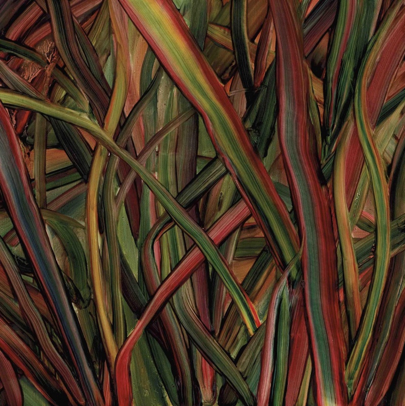 GENGAHR NOWY ALBUM