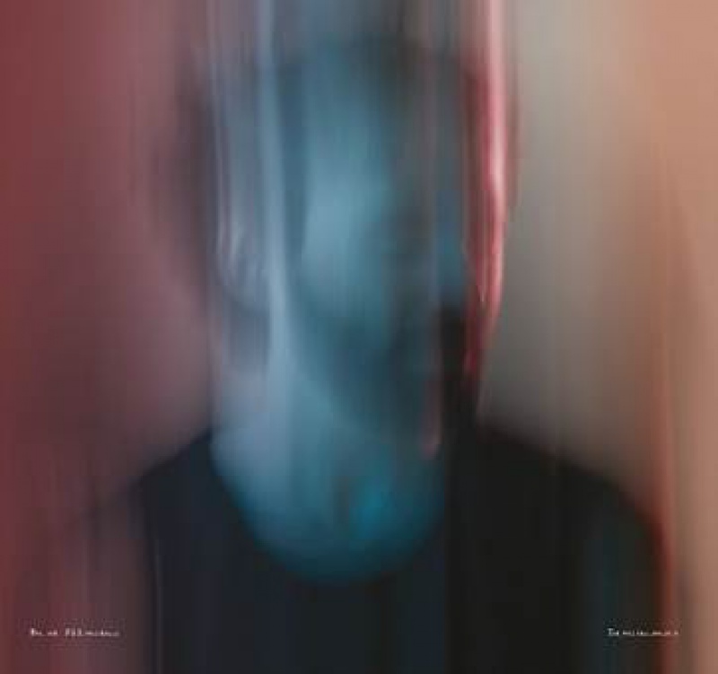 PETER SILBERMAN SOLOWY PROJEKT WOKALISTY THE ANTLERS