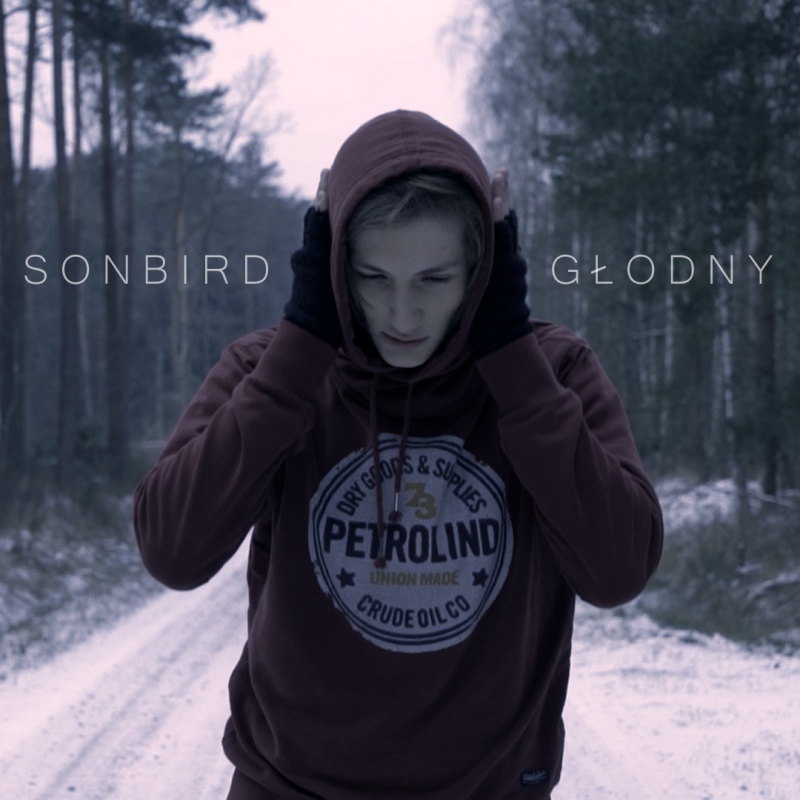 Sonbird z najnowszym teledyskiem do utworu "Głodny"