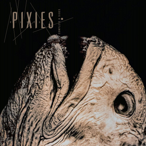 PIXIES - Complete B Sides: 1988-97 (Remaster)