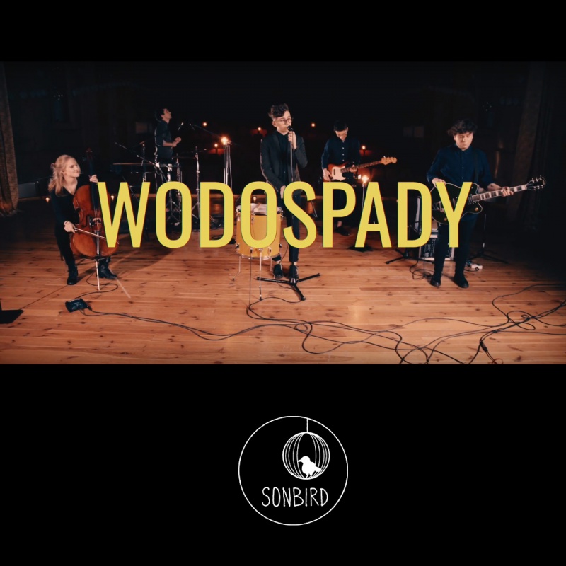 Snowbird "Wodospady" nowy singiel