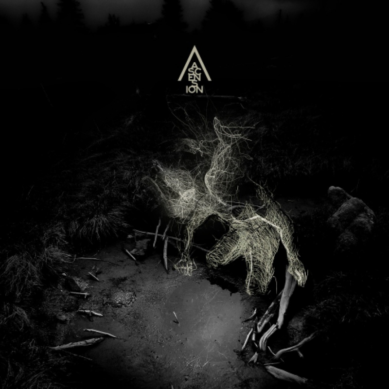Blindead zapowiada „Ascension”!