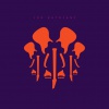 JOE SATRIANI „The Elephants of Mars”